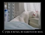 1419488784_demotivatory_19.jpg