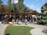 IMG_1240.JPG