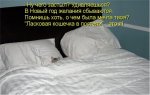 коша.jpg