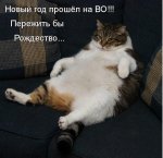 449коша749.jpg