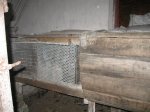 кролі 046.JPG