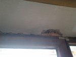 IMG_20150105_115148.jpg