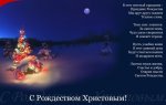 рожд.jpg