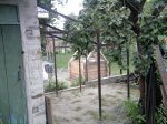 Фото0573.jpg