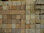 DSC00690x.JPG