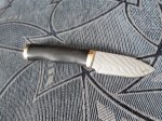 2015113130211.jpg