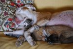 им наплевать что они должны быть врагами.jpg