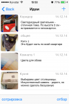 IMG_2247.PNG
