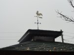 DSC02645 - копия.JPG