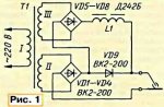 vsv02-1(2).jpg