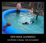 ee3ocuyxw0si.jpg