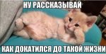 e51f88.jpg