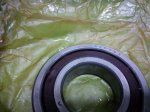 WP_000689.jpg