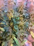 IMG_20150124_171857.jpg