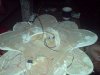 DSC00037.jpg