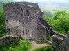300px-Ukraine.Nevitske.Castle03.JPG