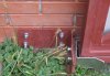 DSCF4531.jpg