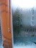 DSCF3458.jpg