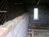 Photo-0010.jpg