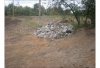 2010-10-04_125127.jpg