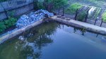 IMAG0326.jpg