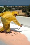 66182835_w640_h2048_masterroof.jpg