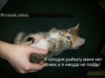 RsbrQzFKev.jpg