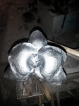 2015204075402.jpg