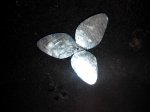 2015205074355.jpg