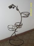 PIC_0286.JPG