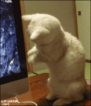 8524564db0bd7014123de7b93d2a332bc819a05a3dc3238e1342b3db141e290b_1.gif