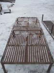 кролі 010.JPG