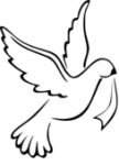 голубь2.png