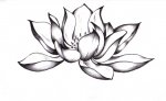 lotus.jpg