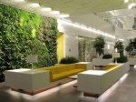 Plantwall_01.jpg