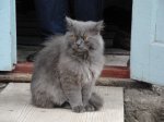 DSC07636.JPG