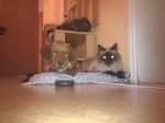 IMG_20130529_003023.jpg