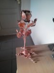 2015225074710.jpg