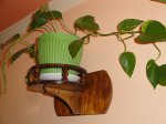 DSC09166.JPG