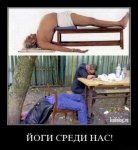smeshnie_kartinki_1356576470271220121472.jpg