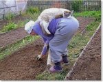 вот как надо отдыхать на даче.jpg