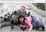белочки.jpg