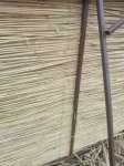 IMG_20150228_120124.jpg