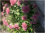 upload_2015-3-2_21-48-42.png
