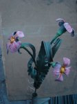 DSC01337.JPG