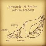 upload_2015-3-19_12-51-6.png