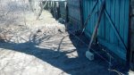 2013-04-17_14-02-19_840.jpg