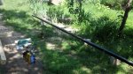 2014-06-09_11-19-47_89.jpg
