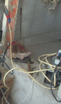 IMG_0001.gif