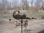 IMG_022.jpg